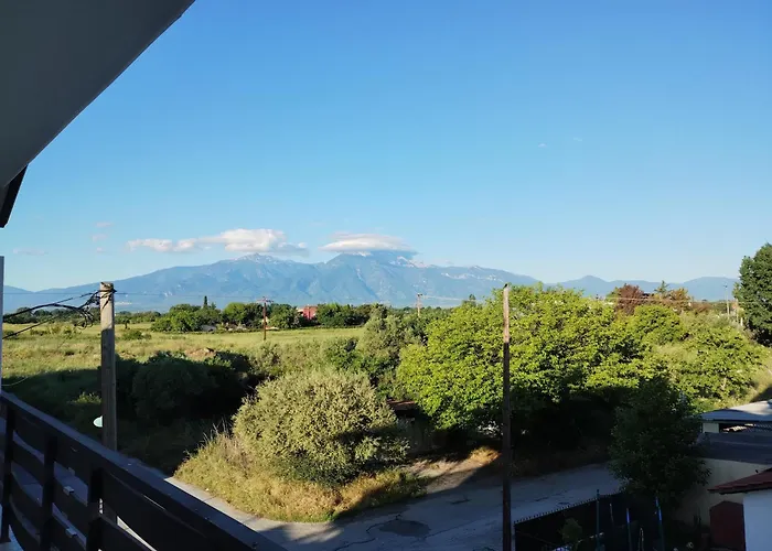 Affittacamere Olympia 3*